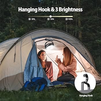 キャンプ用ファン LEDライト付き テントファン 吊り下げフック付き 充電式 Amazon.co.jp: 10000mAhの電池式キャンプ用扇風機 7インチ LED